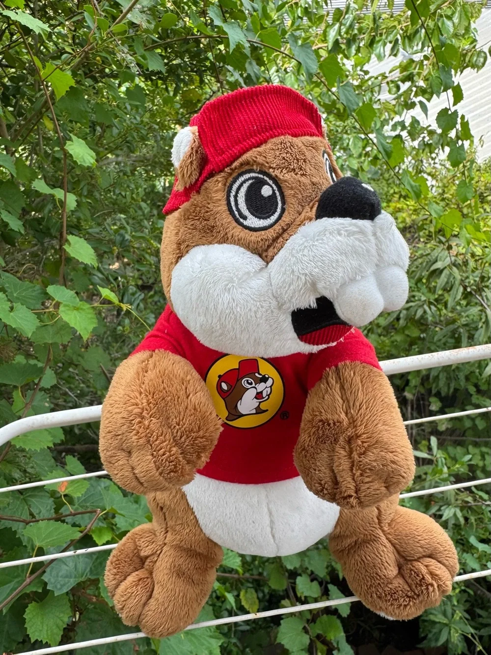 Buc-ees buc ee